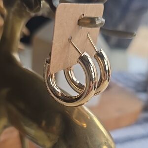 Elegant Gold Hoop Earrings